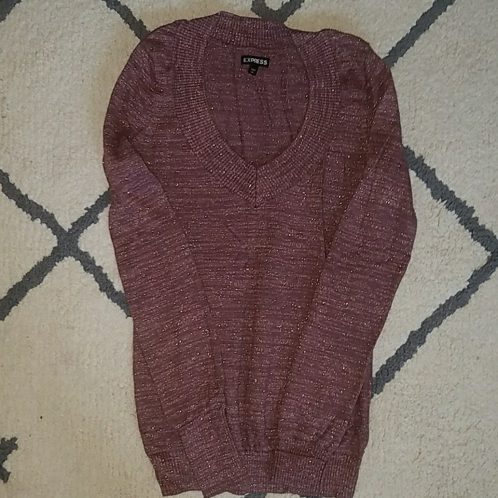 Express Fitted Sweater